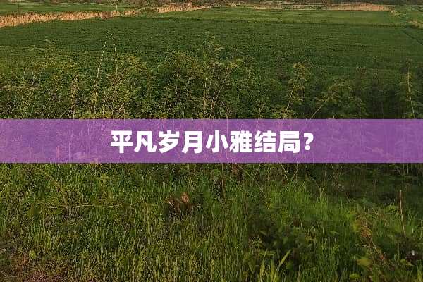 平凡岁月小雅结局？
