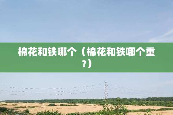 棉花和铁哪个（棉花和铁哪个重?）