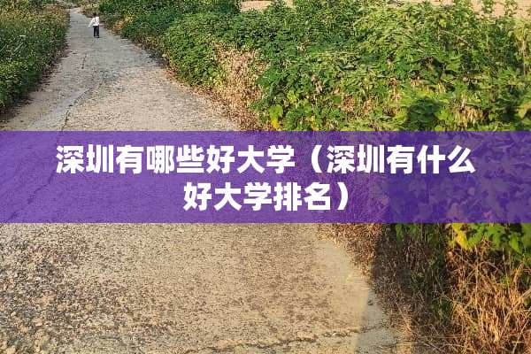 深圳有哪些好大学（深圳有什么好大学排名）