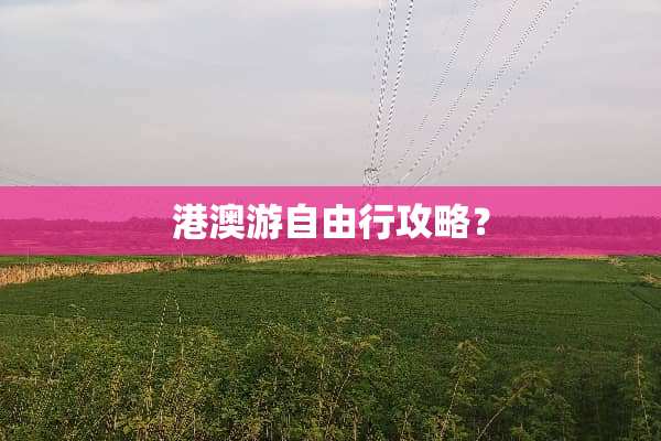 港澳游自由行攻略？