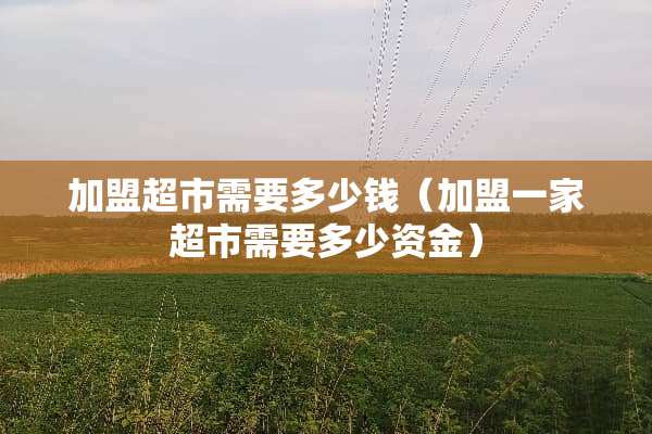 加盟超市需要多少钱（加盟一家超市需要多少资金）