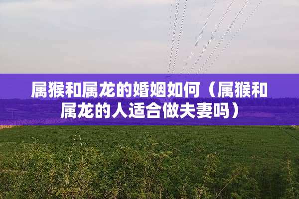 属猴和属龙的婚姻如何（属猴和属龙的人适合做夫妻吗）