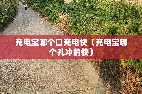 充电宝哪个口充电快（充电宝哪个孔冲的快）