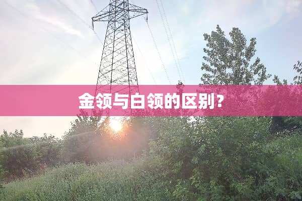 金领与白领的区别？