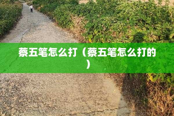 蔡五笔怎么打（蔡五笔怎么打的）