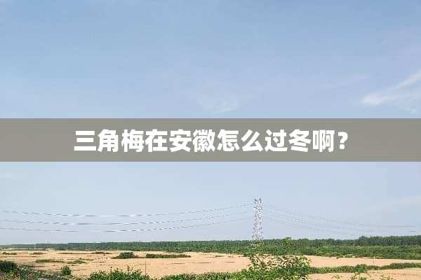 三角梅在安徽怎么过冬啊？
