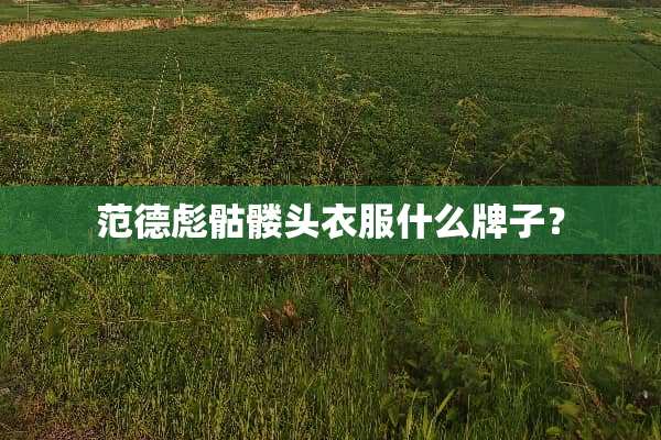 范德彪骷髅头衣服什么牌子？