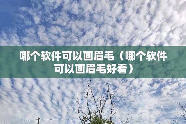 哪个软件可以画眉毛（哪个软件可以画眉毛好看）