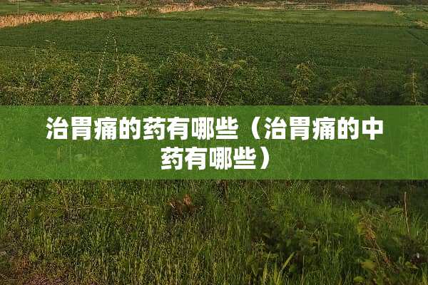 治胃痛的药有哪些（治胃痛的中药有哪些）