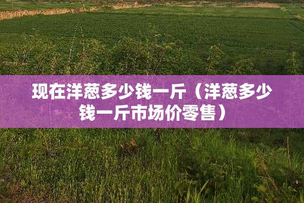 现在洋葱多少钱一斤（洋葱多少钱一斤市场价零售）