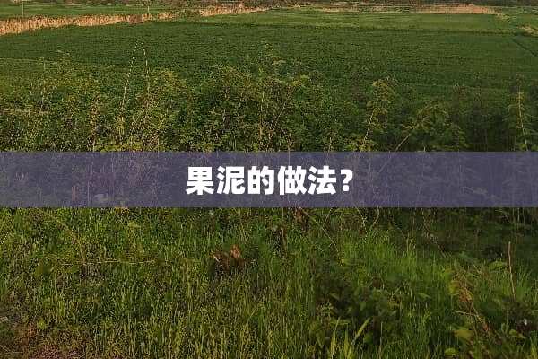 果泥的做法？