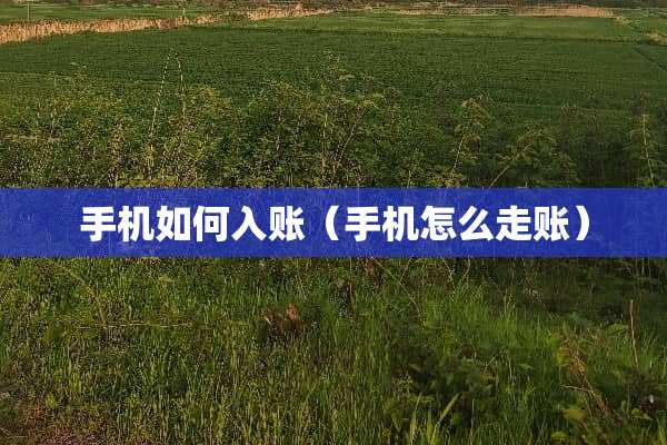 手机如何入账（手机怎么走账）