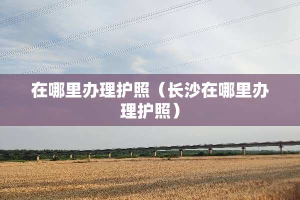 在哪里办理护照（长沙在哪里办理护照）