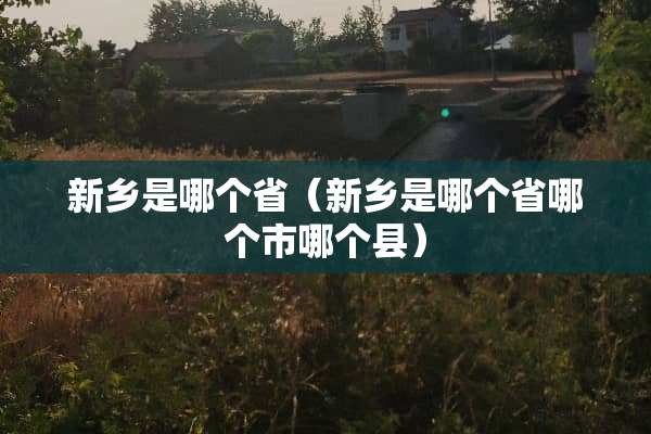 新乡是哪个省（新乡是哪个省哪个市哪个县）