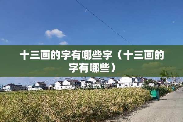 十三画的字有哪些字（十三画的字有哪些）