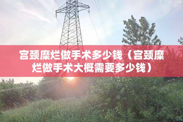 宫颈糜烂做手术多少钱（宫颈糜烂做手术大概需要多少钱）