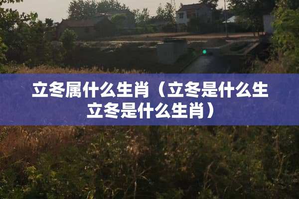 立冬属什么生肖（立冬是什么生立冬是什么生肖）