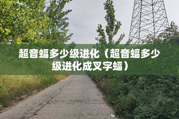 超音蝠多少级进化（超音蝠多少级进化成叉字蝠）