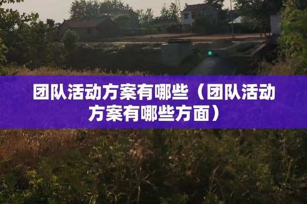团队活动方案有哪些（团队活动方案有哪些方面）