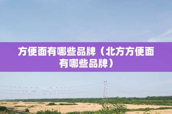 方便面有哪些品牌（北方方便面有哪些品牌）