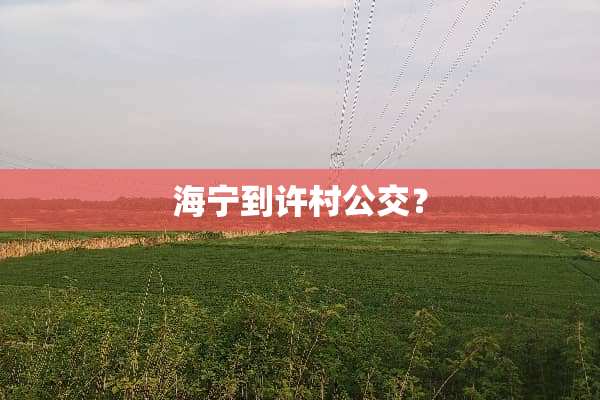 海宁到许村公交？