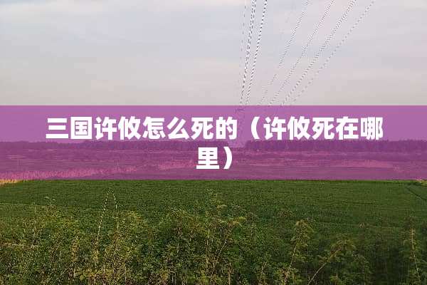 三国许攸怎么死的（许攸死在哪里）