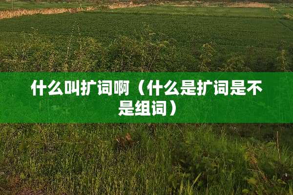 什么叫扩词啊（什么是扩词是不是组词）