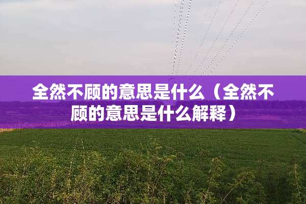 全然不顾的意思是什么（全然不顾的意思是什么解释）
