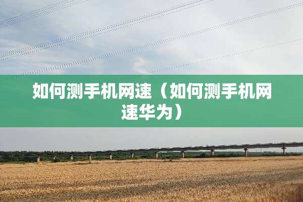 如何测手机网速（如何测手机网速华为）
