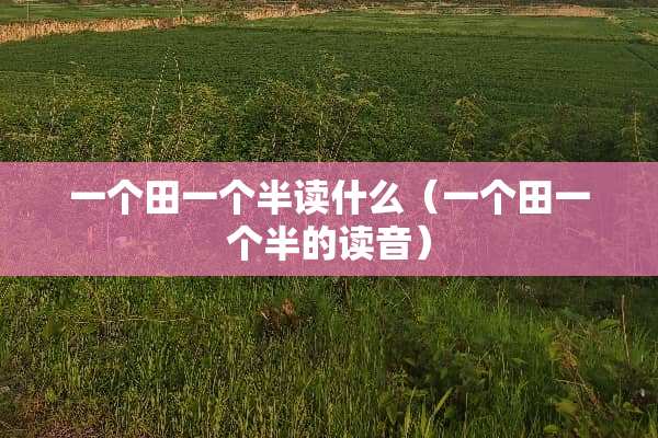 一个田一个半读什么（一个田一个半的读音）
