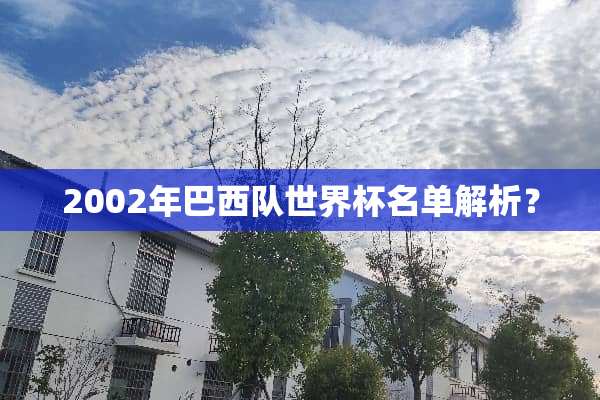 2002年巴西队世界杯名单解析？