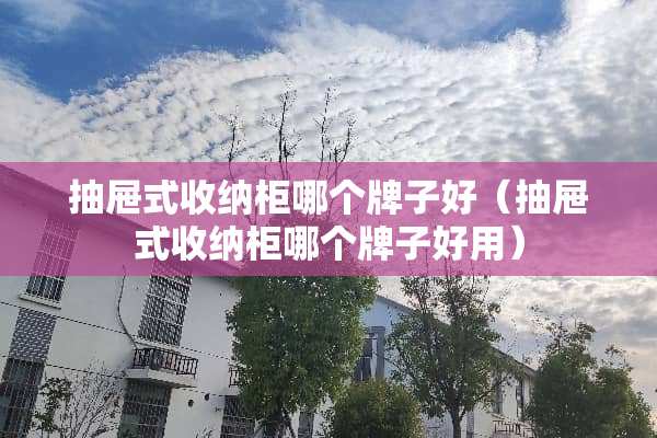 抽屉式收纳柜哪个牌子好（抽屉式收纳柜哪个牌子好用）