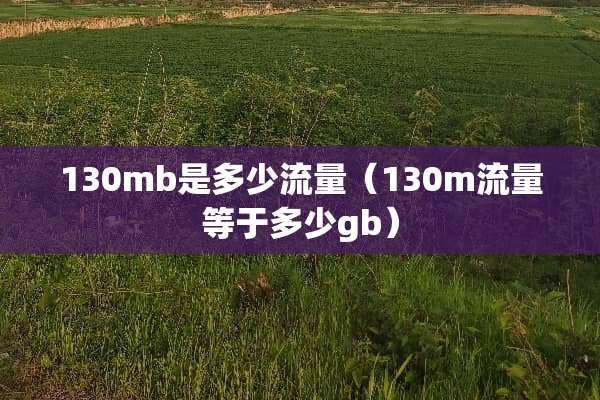 130mb是多少流量（130m流量等于多少gb）