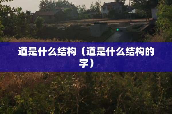 道是什么结构（道是什么结构的字）