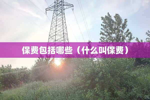 保费包括哪些（什么叫保费）
