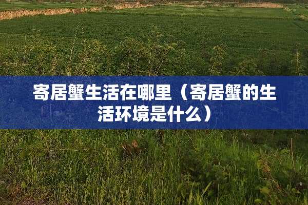寄居蟹生活在哪里（寄居蟹的生活环境是什么）