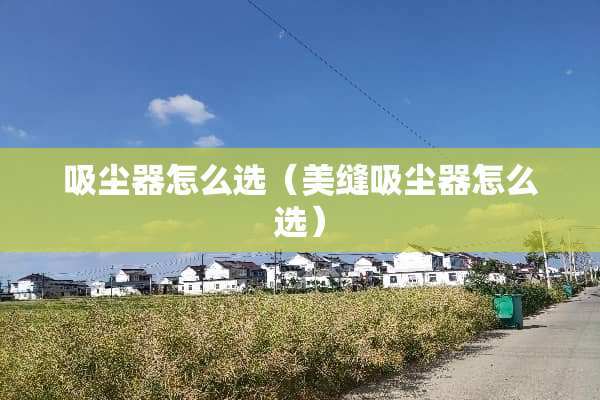 吸尘器怎么选（美缝吸尘器怎么选）