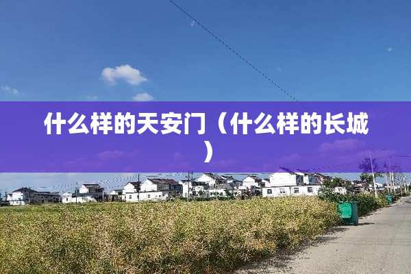 什么样的***（什么样的长城）