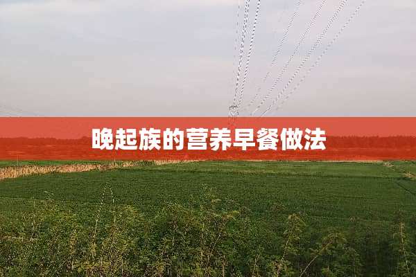 晚起族的营养早餐做法