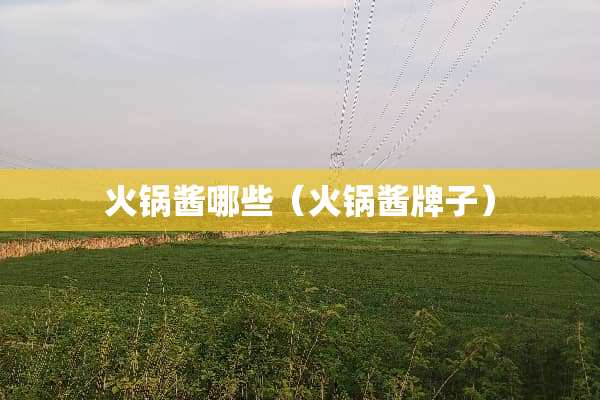 火锅酱哪些（火锅酱牌子）