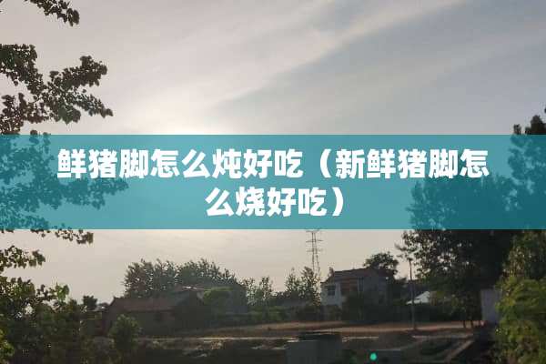 鲜猪脚怎么炖好吃（新鲜猪脚怎么烧好吃）