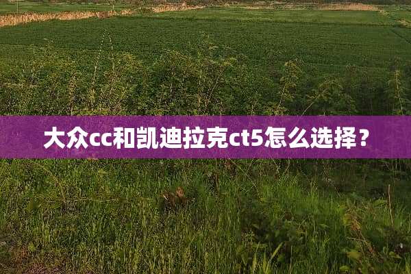 大众cc和凯迪拉克ct5怎么选择？
