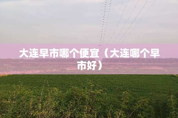 大连早市哪个便宜（大连哪个早市好）