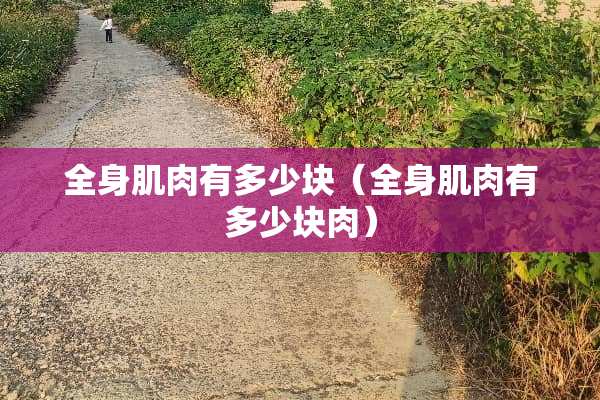 全身肌肉有多少块（全身肌肉有多少块肉）