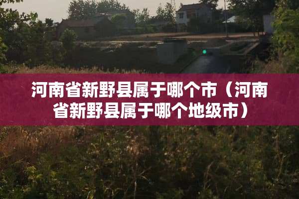 河南省新野县属于哪个市（河南省新野县属于哪个地级市）