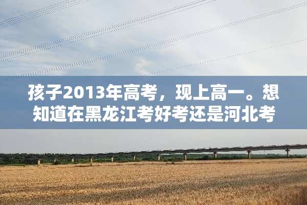孩子2013年高考，现上高一。想知道在黑龙江考好考还是河北考好考？