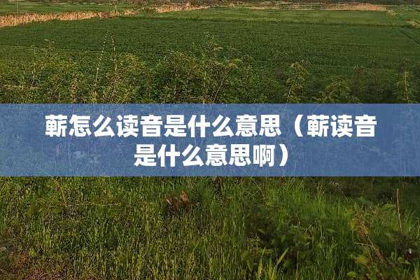 蕲怎么读音是什么意思（蕲读音是什么意思啊）