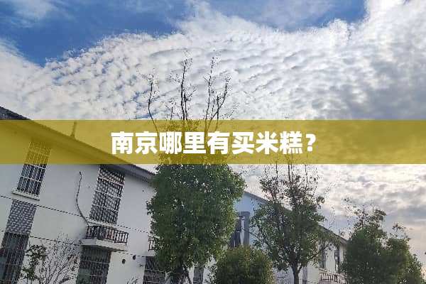 南京哪里有买米糕？