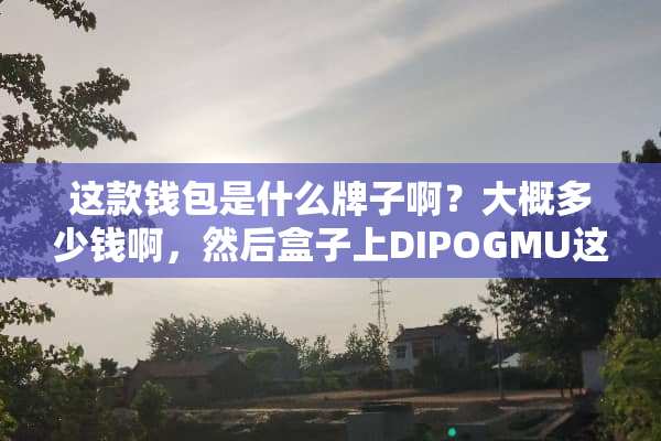 这款钱包是什么牌子啊？大概多少钱啊，然后盒子上DIPOGMU这个标志，求回答？