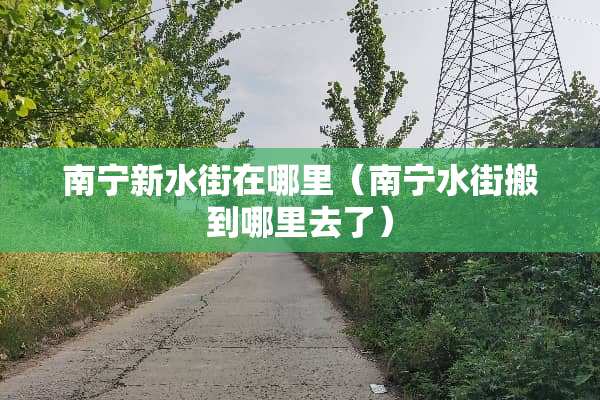 南宁新水街在哪里（南宁水街搬到哪里去了）